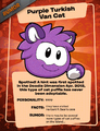 A Purple Turkish Van Cat on a poster describing puffle species.