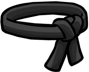 BlackBelt.png