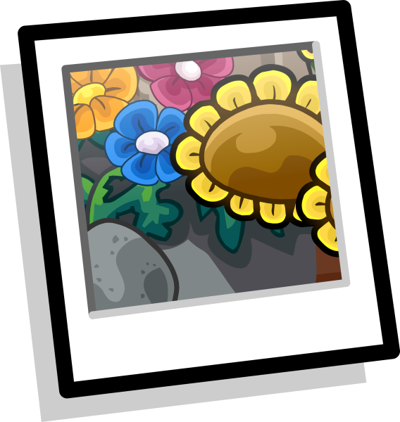 File:GardenBackgroundPlayerCard.png