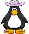 The Pink Cowgirl Hat on a player card.