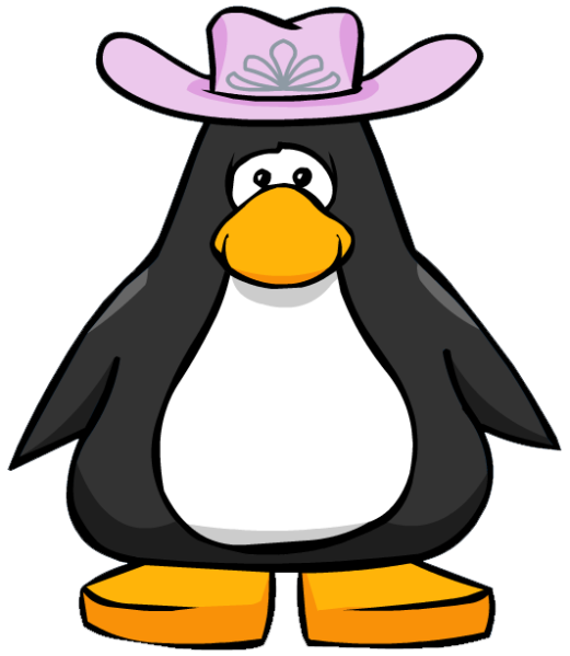 File:PinkCowgirlHat1.png