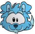 The Blue Border Collie as seen on the Youtube short.