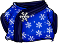 Blizzard Wizard Robe