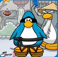 My Ninja Penguin