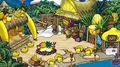 The Cove.