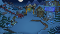 During the Operation: Puffle