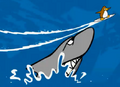 The Shark as seen on Catchin' Waves.