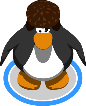 TheCurlKing1.png