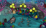 During the Underwater Expedition