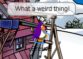 OMG THE POLE IS GOING THOUGH HIS HEAD! AND HES ALIVE!