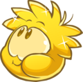 A Gold Puffle eating.