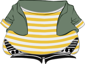PatternFashionista.png