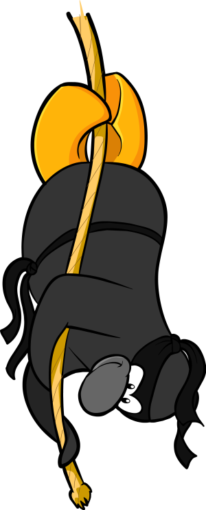 LoginScreenCJW-Ninja1.PNG