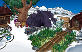 The Mine Shack