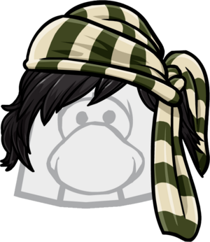 ThePirateerNew.PNG