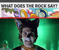 What does the rock say?