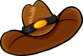 Brown Cowboy Hat