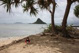 Rockhopper at the beach.