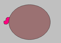 Thumbnail for version as of 16:00, 28 August 2024