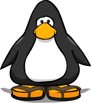 SandyFlipFlops2.PNG