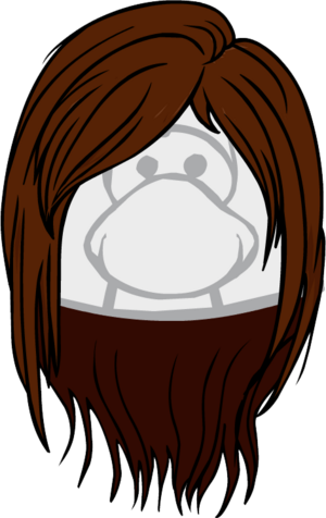 TheSleekChic.PNG