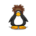 The Brown Puffle Cap on a player card.