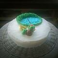 A Club Penguin Ice Fishing cake baked by Megg.