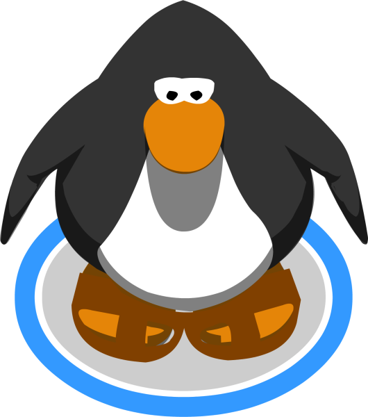 File:BrownSandals2.png