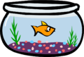 Fish Bowl