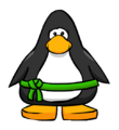The Green Ninja Belt on a player card.