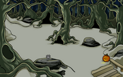 The Forest