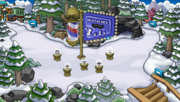 The Forest