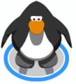 The Ice Skates in-game.