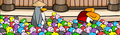 The Puffle Roundup Card