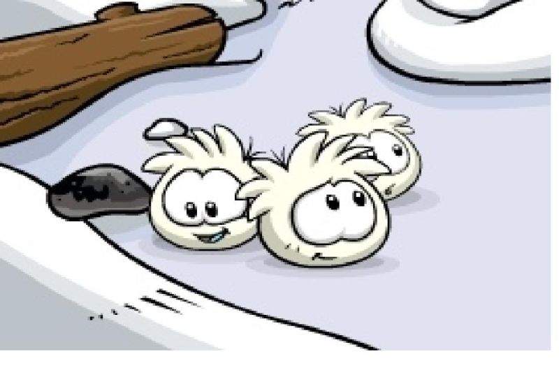File:White-puffles.jpg