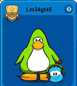 Brook Puffle Party.png