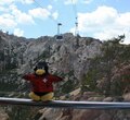A Rescue Squad penguin on a gondola lift.