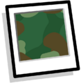 This item's inventory icon