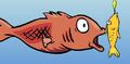 A mullet about to eat a Fluffy the Fish