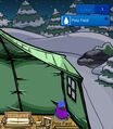 A sneak peek by Polo Field.