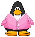 The PNK Sweater on a player card.