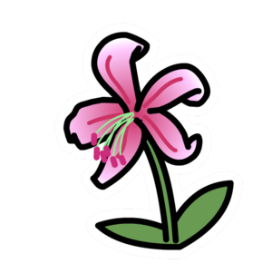 Lily Pin.PNG