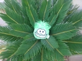 A green puffle resting on leaves.