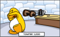 Thumbnail for version as of 15:52, 28 August 2024
