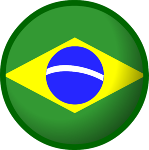 Brazil flag.PNG