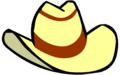 Cowboy Hat