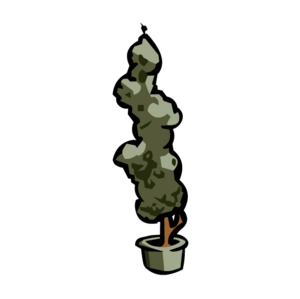 Coffee Tree.PNG