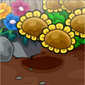 Garden Background