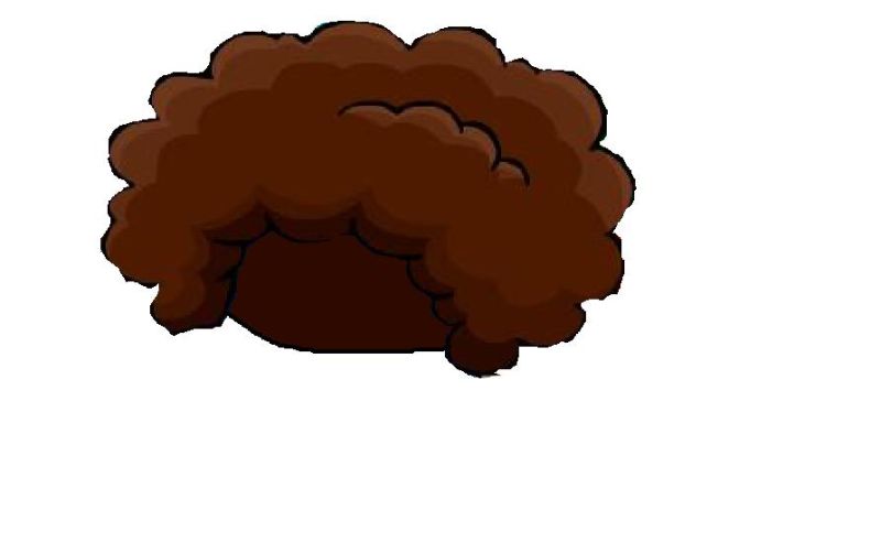 File:Disco Hair.jpg