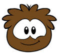 The Brown Puffle on the Player card.